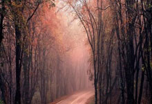 JAVA互联网架构师五期价值12880元2022年重磅首发无秘包更新