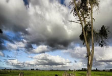 小红书花了1680买来的2024下fb教资网课（涵盖幼儿、小学、中学）