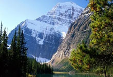 JAVA互联网架构师五期价值12880元2022年重磅首发无秘包更新