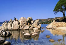 小红书花了1680买来的2024下fb教资网课（涵盖幼儿、小学、中学）